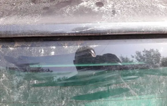 Citroen C8 Third/center stoplight