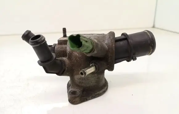 Thermostat/thermostat housing