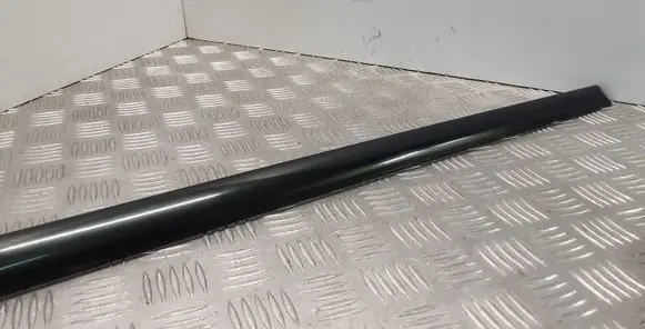 Jaguar X-Type Front door trim (molding) 1X435420781AWW