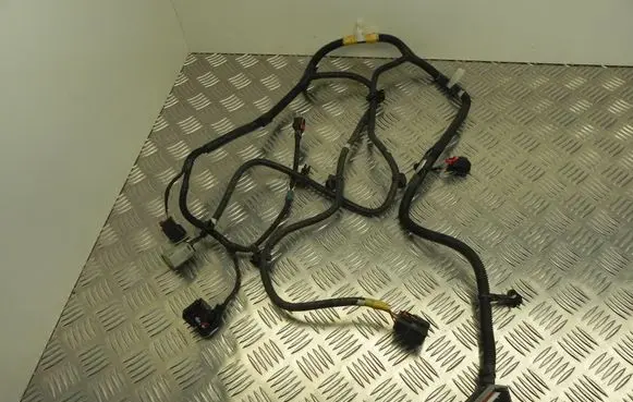 Tesla Model Y Other wiring loom 248905901A