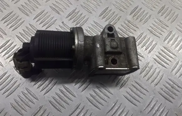 Opel Vectra C EGR valve 55215031