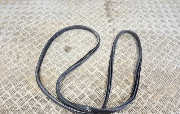 Nissan Rogue Rear door rubber seal (on body) 769237FL0A
