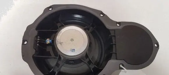 Volkswagen PASSAT CC Front door speaker 3C8035454 900475460015