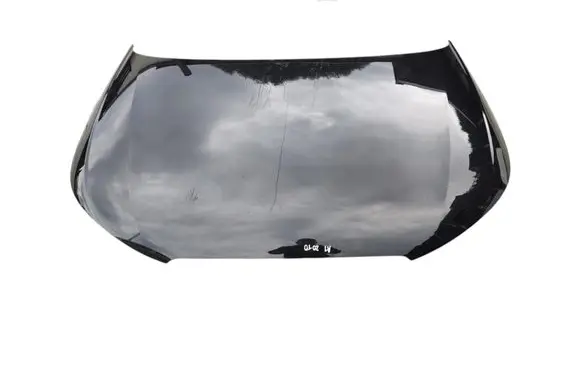 Engine bonnet/hood