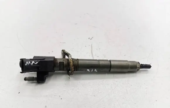 Volvo V60 Fuel injector 313032381342 0445116046