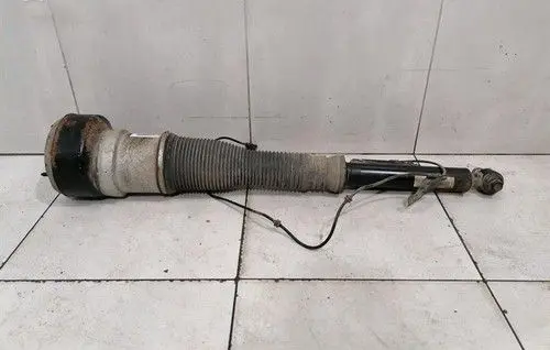 Mercedes-Benz S W221 Rear shock absorber with coil spring A2213205513