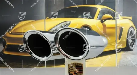 Porsche Cayenne (92A) Muffler ending 95811125213