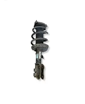 KIA Optima Front shock absorber with coil spring 54660D4900