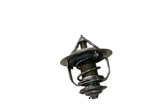 Hyundai Santa Fe Thermostat 