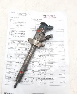 Citroen C5 Fuel injector 0445110297