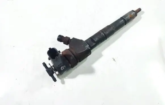 Citroen Berlingo Fuel injector 0445110 0445110076