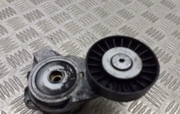 Saab 9-5 Alternator belt tensioner pulley 4898755