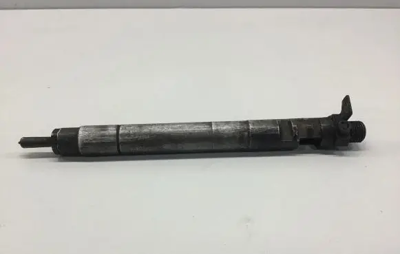 Ford Galaxy Fuel injector 9686191080