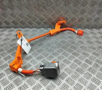 Lexus RZ Other wiring loom 821H542010