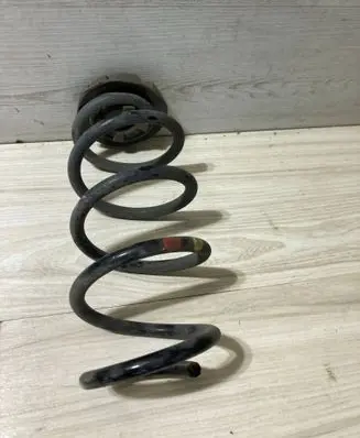 Rear coil spring
