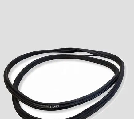 Mini Cooper Countryman R60 Front door rubber seal