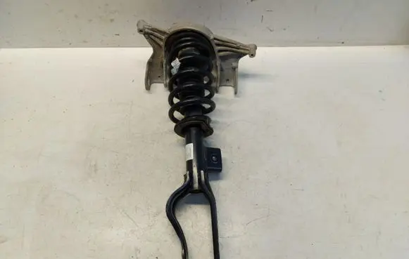 Tesla Model 3 Front shock absorber/damper 1044369-00-F