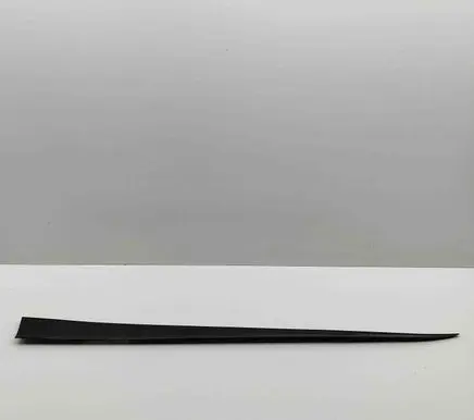 Audi E-tron GT Front door trim (molding) 4J3853959