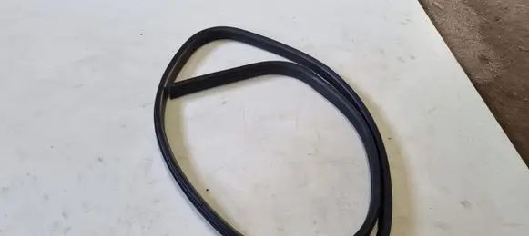 Ford Focus Rubber seal front door (on door) 