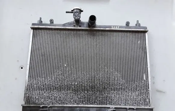 Nissan Juke I F15 Coolant radiator 21410EE000