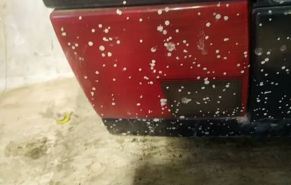 Tailgate rear/tail lights