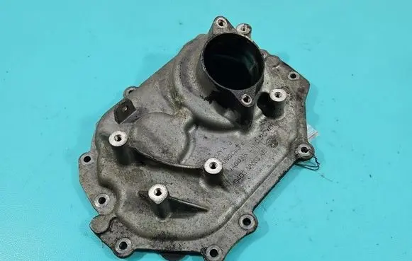 Land Rover Discovery Sport Timing belt guard (cover) G4D36P053AB IMPRK1555139