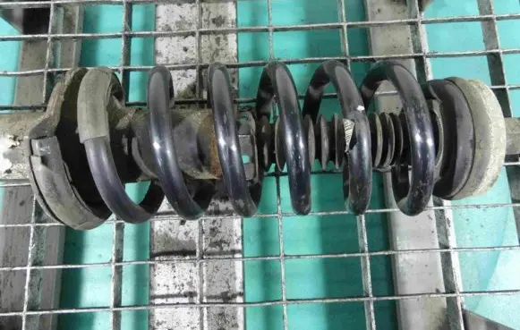 Rear coil spring