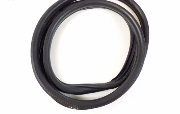 Mini Cooper Countryman F60 Front door rubber seal 7475753
