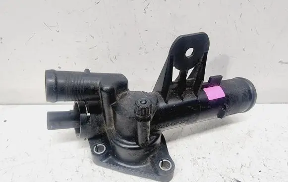 Thermostat/thermostat housing