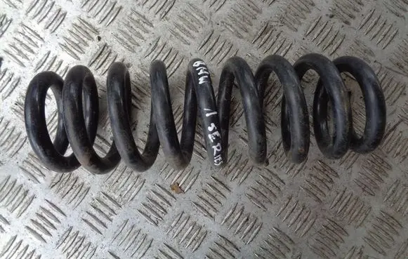 Rear coil spring