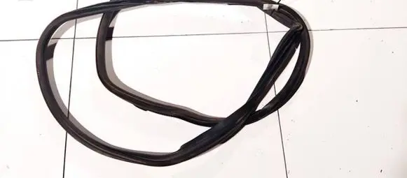Chrysler Grand Voyager IV Rubber seal front coupe door 