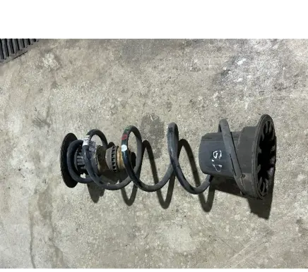 Citroen Berlingo Rear coil spring