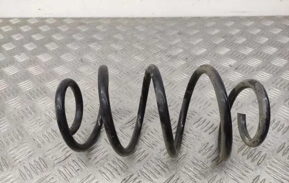 Rear coil spring