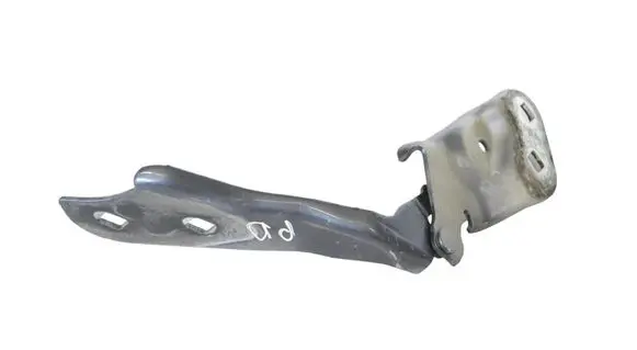 Tesla Model 3 Engine bonnet/hood hinges 109879300