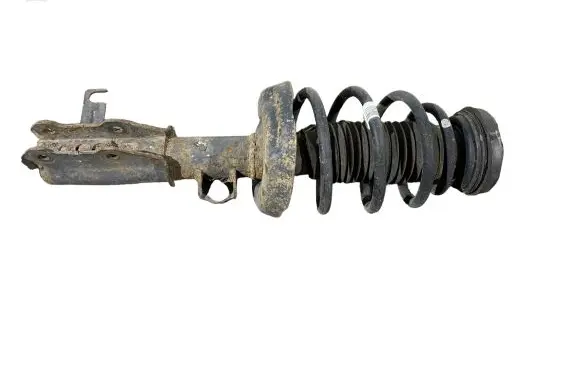 Opel Insignia A Front shock absorber with coil spring