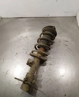 Suzuki Grand Vitara II Front shock absorber with coil spring