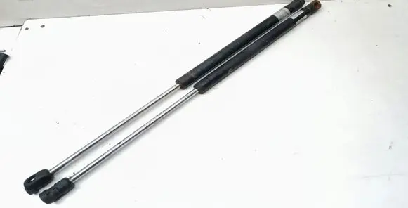 Tailgate/trunk strut/damper