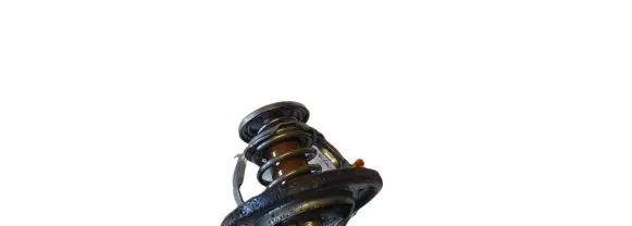 Thermostat/thermostat housing