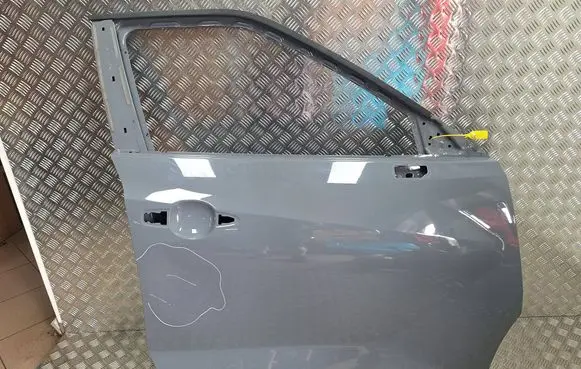 Nissan Juke II F16 Front door S25165056