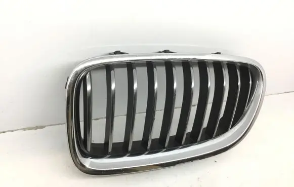 BMW 5 GT F07 Front grill 51137412323