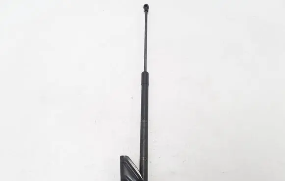 Renault Koleos II Tailgate strut 904507055R