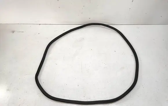 Front door rubber seal