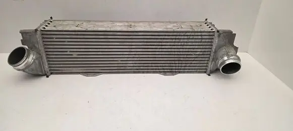 BMW X1 U11 Refrigerator 9846917 251363 365870108