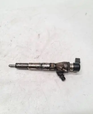 Dacia Duster Fuel injector H8200704191 166008052R