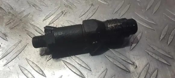 Citroen Berlingo Fuel injector lcr6736001