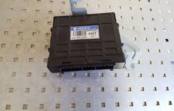 Hyundai Santa Fe Other control units/modules 954403A391