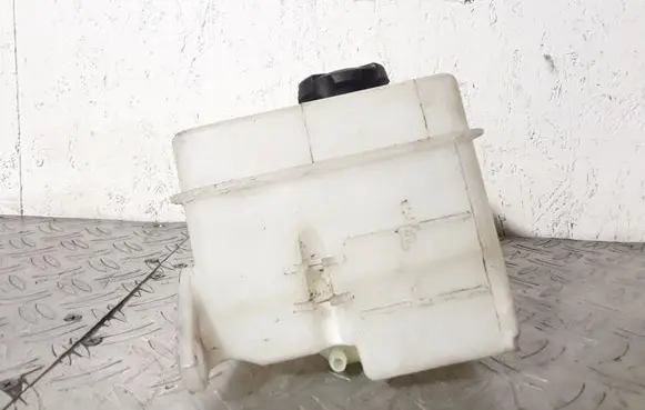 Hyundai i20 (PB PBT) Coolant expansion tank/reservoir 254301J000