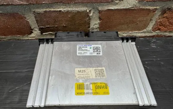 Engine control unit/module ECU
