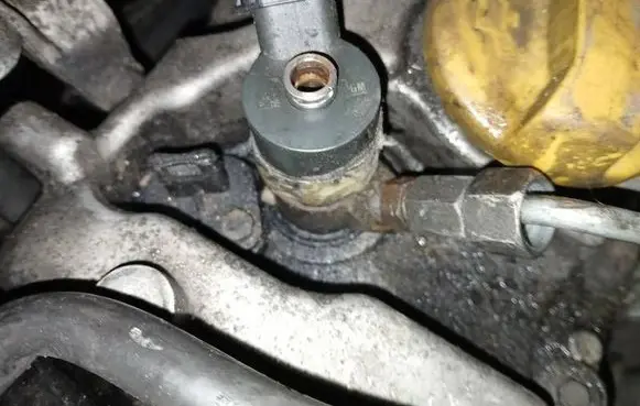 Chevrolet Captiva Fuel injector 0445110270