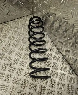 Renault Megane II Rear coil spring